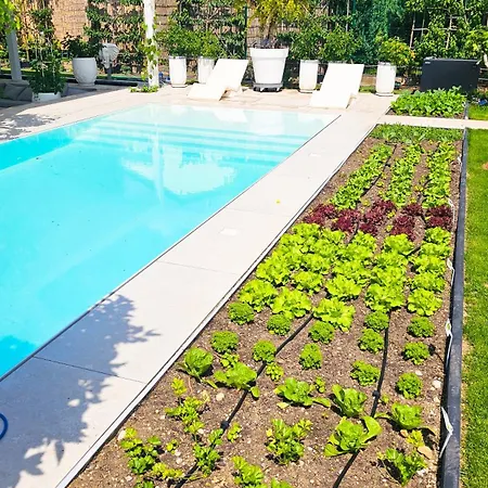 Luxurious Large With Pool, Garden, Koi Pond Only 12 Min To Octoberfest * Monaco di Baviera