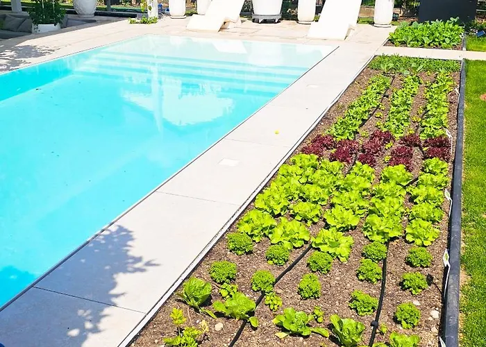 Luxurious Large With Pool, Garden, Koi Pond Only 12 Min To Octoberfest * Мюнхен