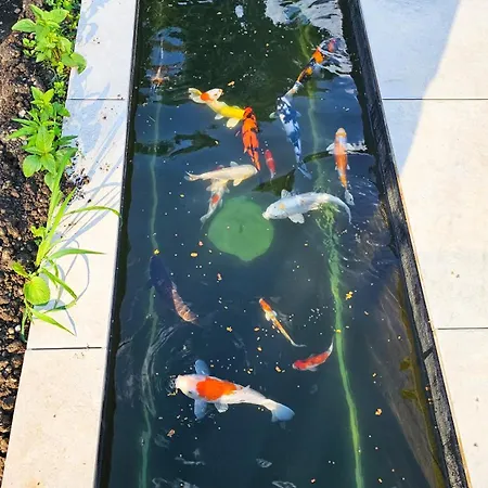 Luxurious Large With Pool, Garden, Koi Pond Only 12 Min To Octoberfest Munique