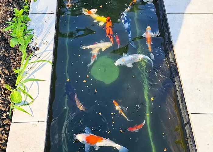 Luxurious Large With Pool, Garden, Koi Pond Only 12 Min To Octoberfest München